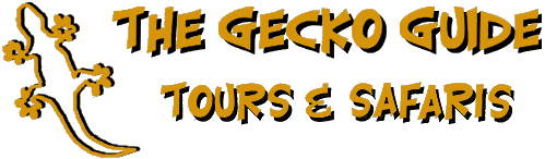 The Gecko Guide